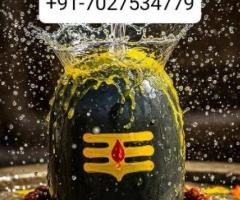 +91-7027534779 Online Love Problem Solution Specialist Baba Ji