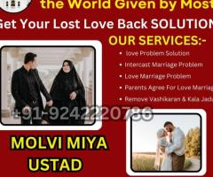 Strong Muslim Amal For Love Back +91 92422 20786 Sifli Amal For Love